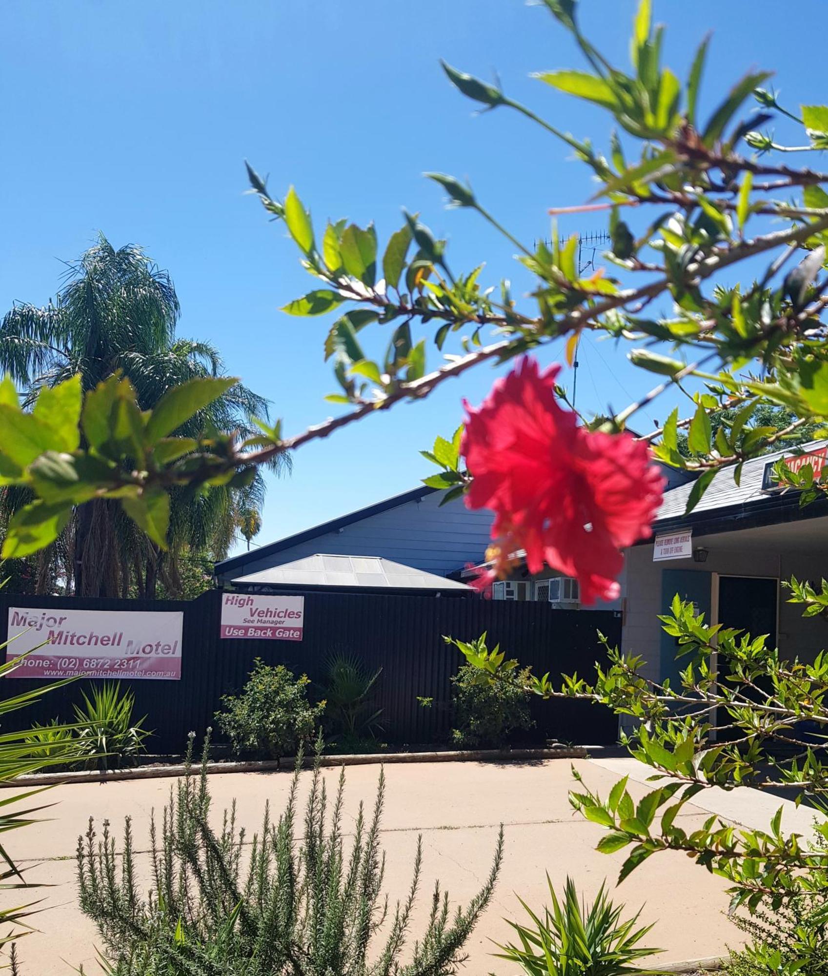 The Major Mitchell Motel Bourke Esterno foto